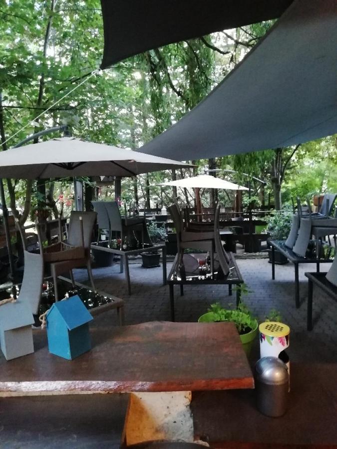 Hotel & Restaurant Le Chalvet Embrun Εξωτερικό φωτογραφία